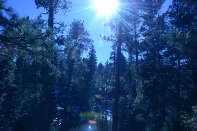 DSC_5041 (Large).JPG